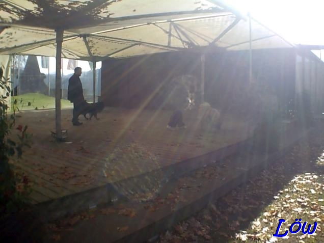 1.11.2024 -  Sonnenspiel